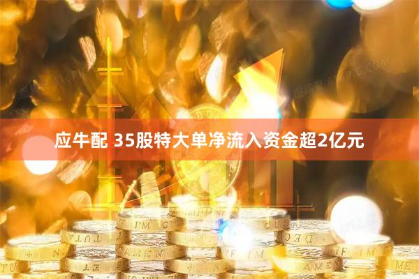 应牛配 35股特大单净流入资金超2亿元